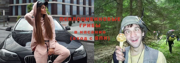 ALPHA PVP Верея
